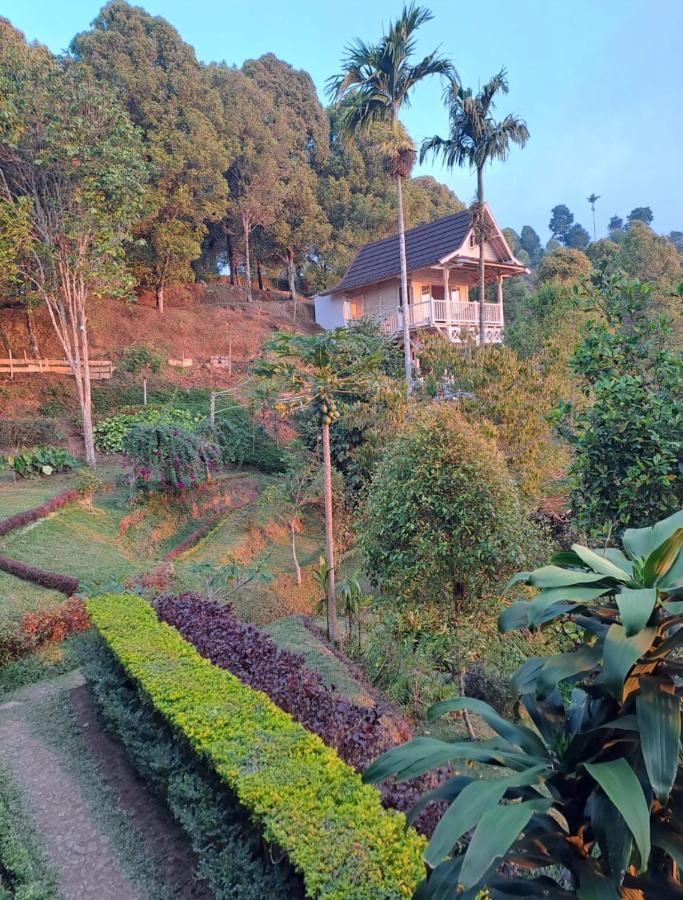 Bed and Breakfast Garden Terrace Bali Gobleg  Exteriér fotografie
