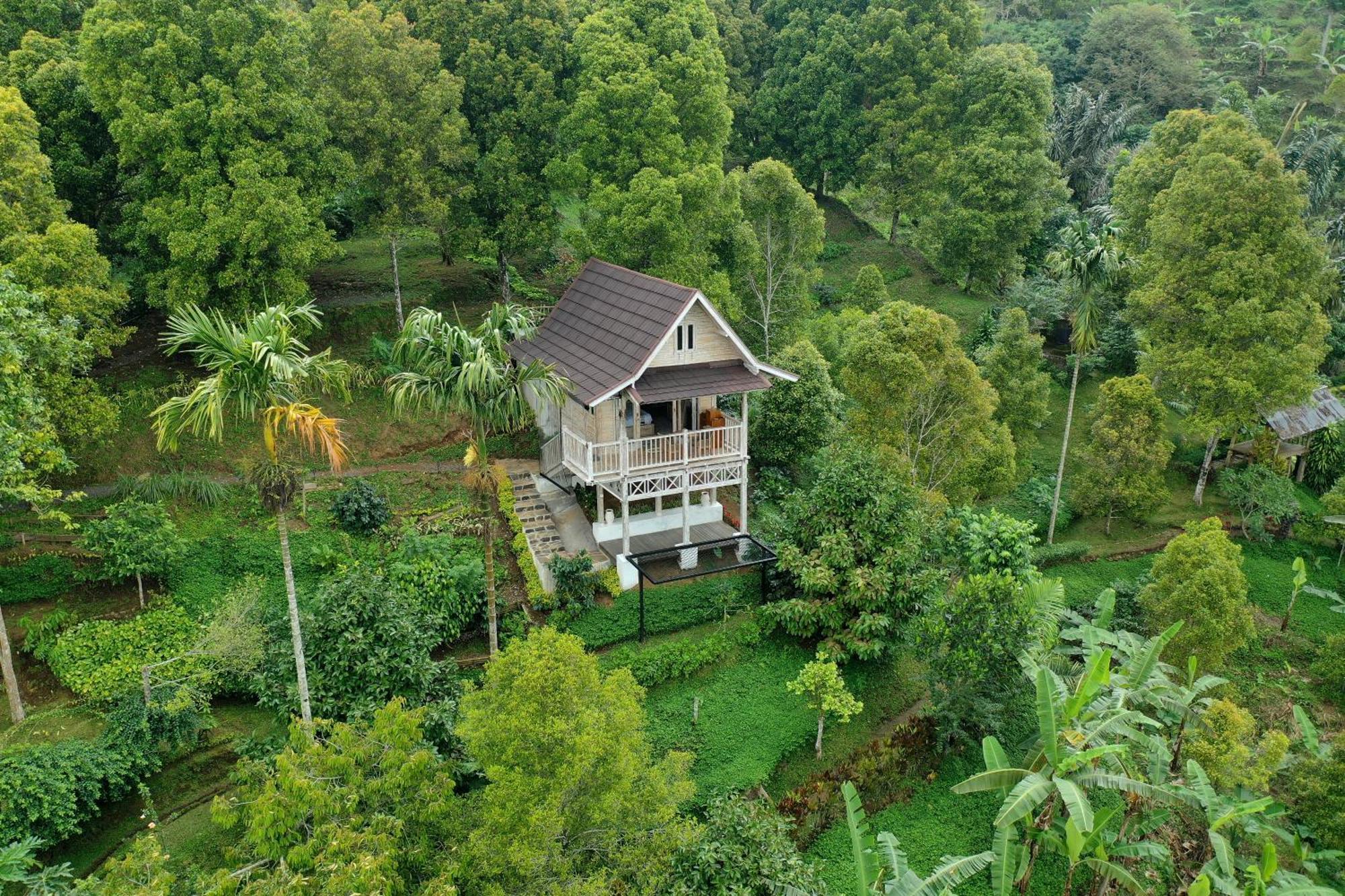 Bed and Breakfast Garden Terrace Bali Gobleg  Exteriér fotografie