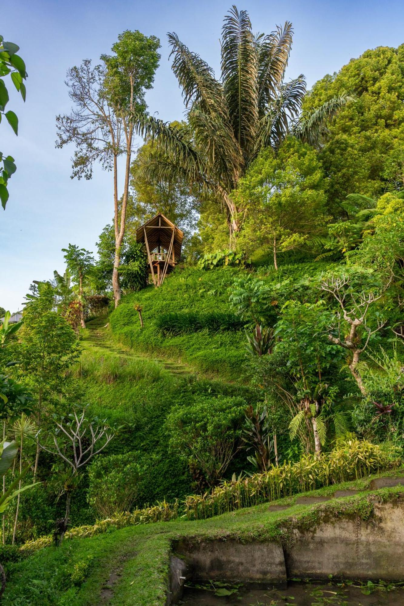 Bed and Breakfast Garden Terrace Bali Gobleg  Exteriér fotografie