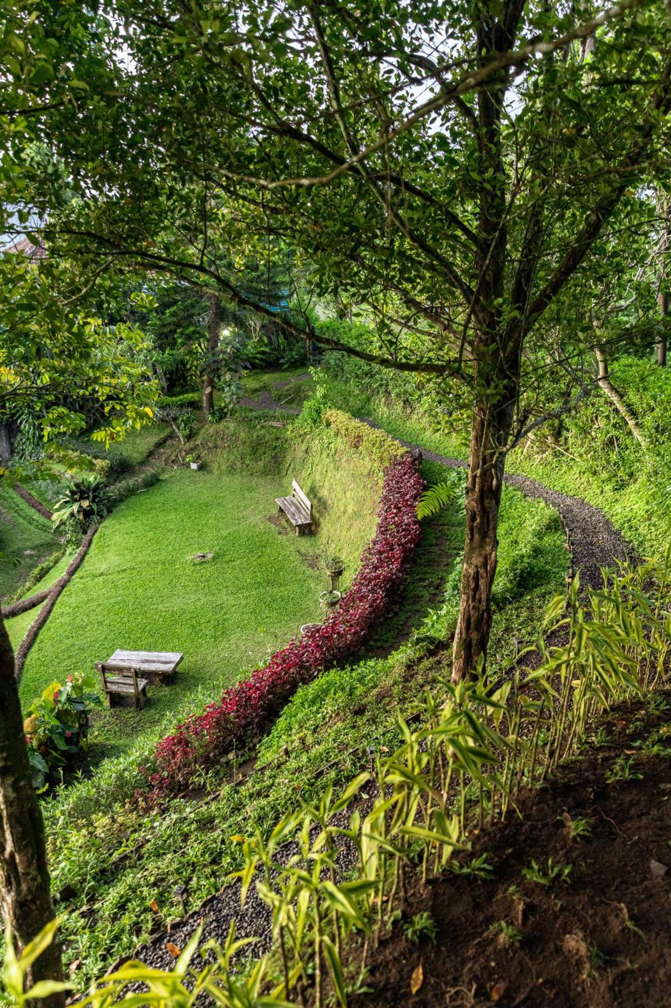 Bed and Breakfast Garden Terrace Bali Gobleg  Exteriér fotografie