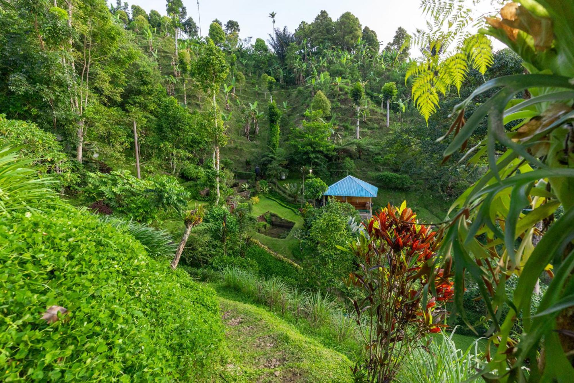 Bed and Breakfast Garden Terrace Bali Gobleg  Exteriér fotografie