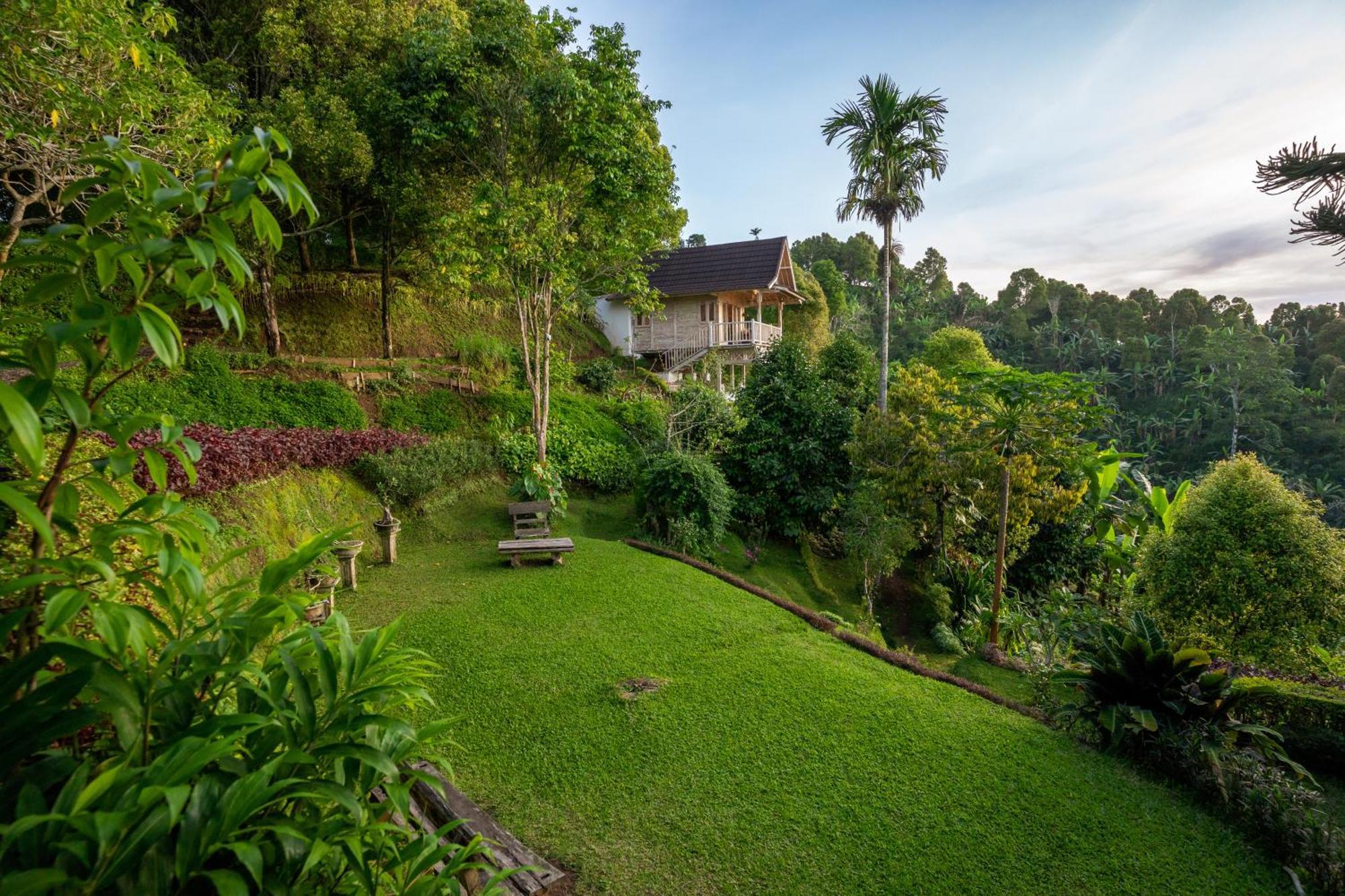 Bed and Breakfast Garden Terrace Bali Gobleg  Exteriér fotografie