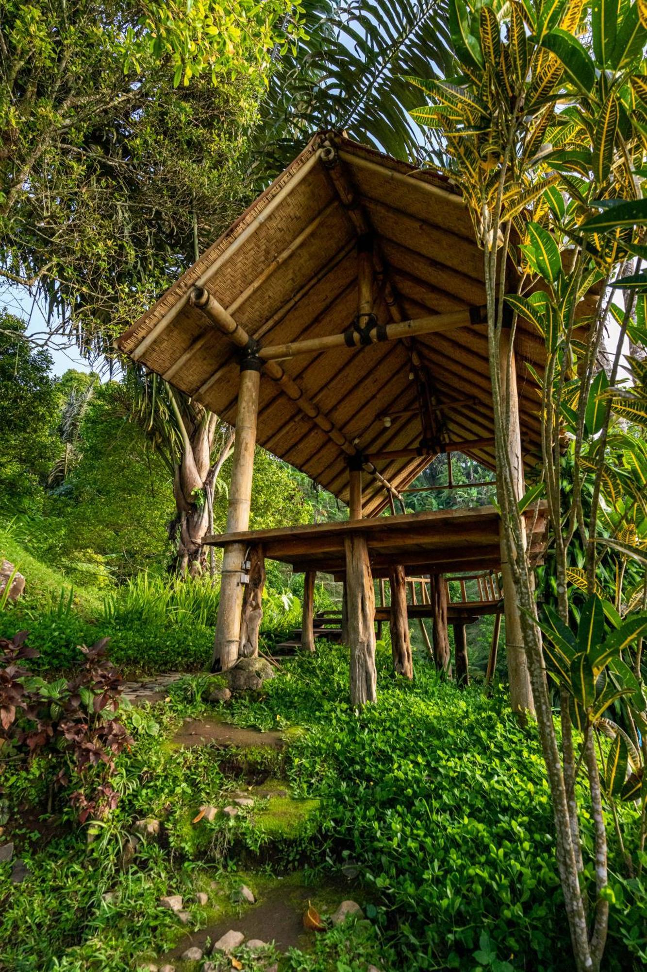 Bed and Breakfast Garden Terrace Bali Gobleg  Exteriér fotografie