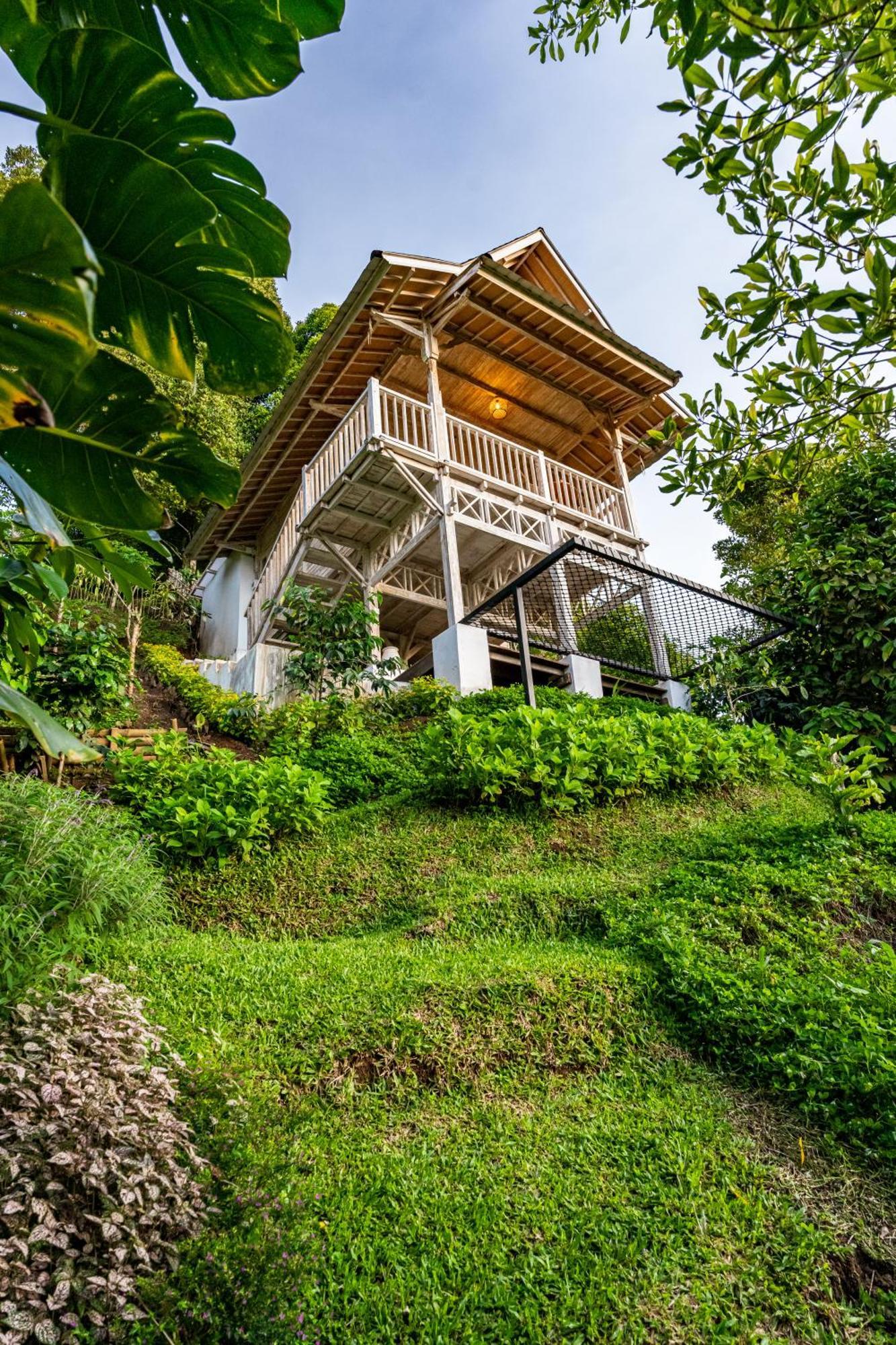 Bed and Breakfast Garden Terrace Bali Gobleg  Exteriér fotografie